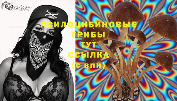 синтетический гашиш Покровск