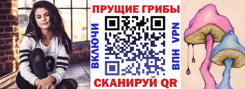 сколько стоит  Нижневартовск  Галлюциногенные грибы Psilocybe 