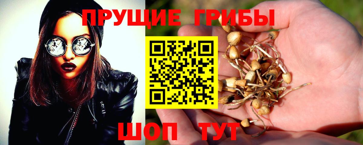 наркошоп  Вход с VPN  Нижневартовск  Псилоцибиновые грибы Magic Shrooms 