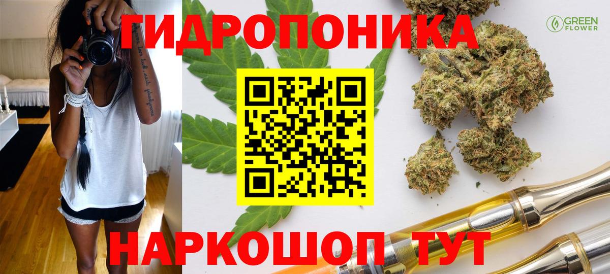 Бошки марихуана конопля  МАРИХУАНА сатива  Нижневартовск  Вход с VPN  Марихуана семена 